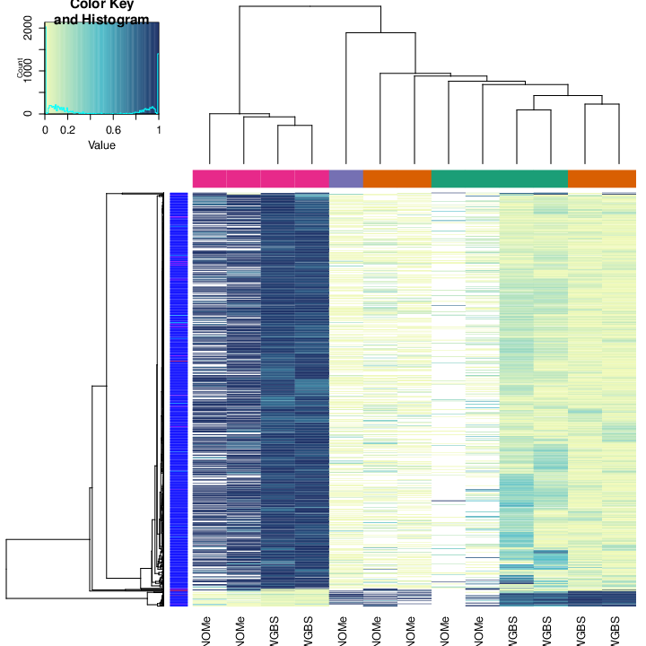 Figure 13